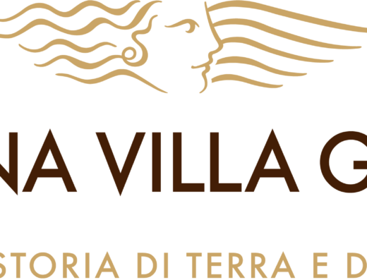 CVG Logo fondo trasparente