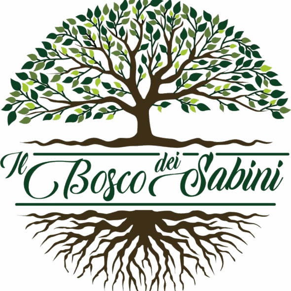 maria teresa antodicola