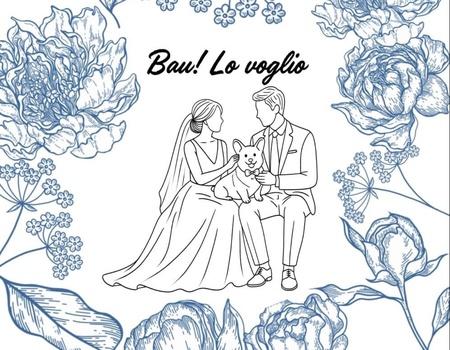 BAU - LO VOGLIO
